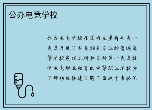 公办电竞学校