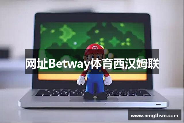 网址Betway体育西汉姆联
